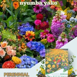 Flowering Mixed Perennial Wildflower Seeds